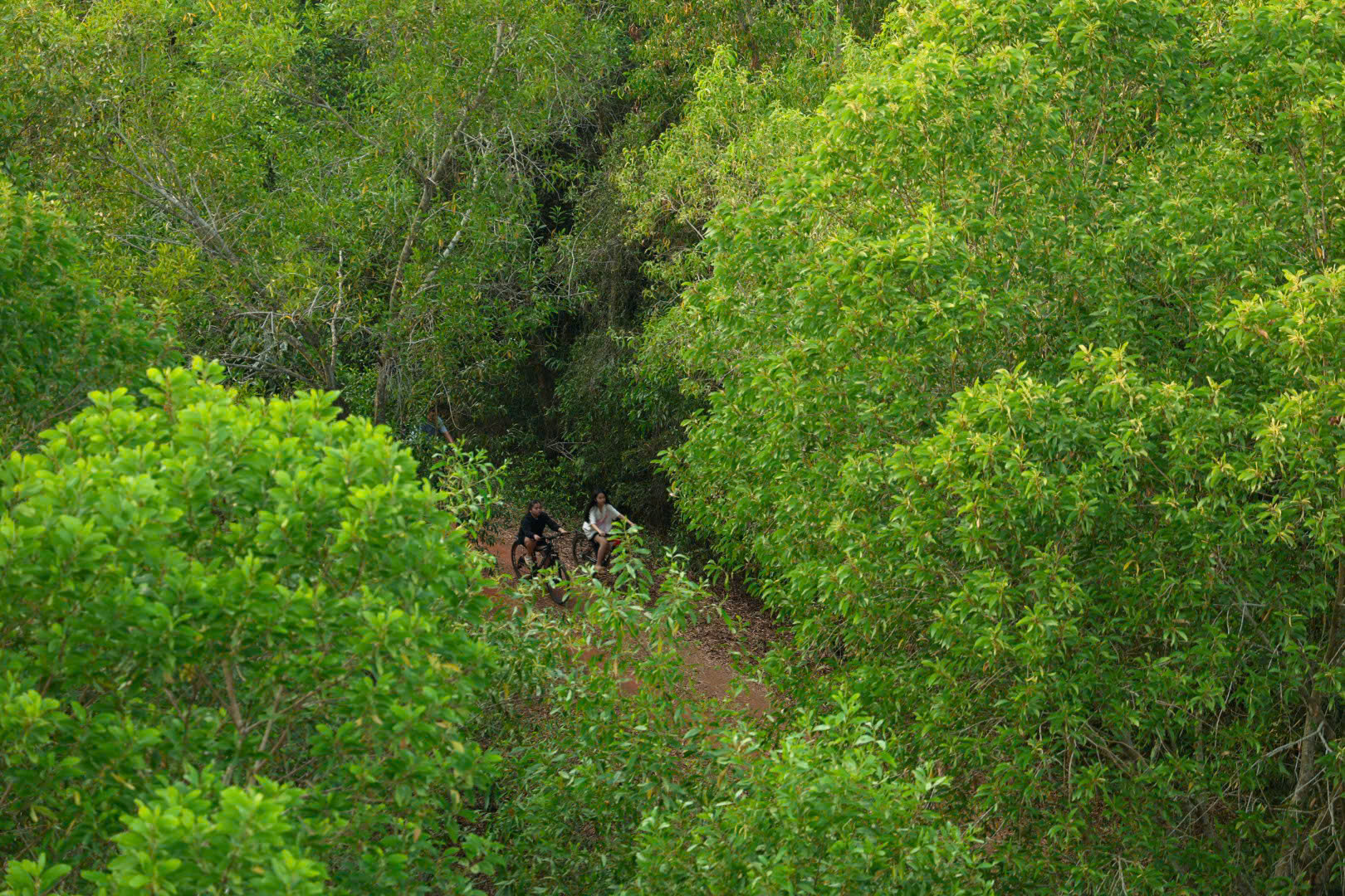 Một ngày xanh mát ở Đồng Tháp Mười- Ảnh 9. Một ngày xanh mát ở Đồng Tháp Mười- Ảnh 9.