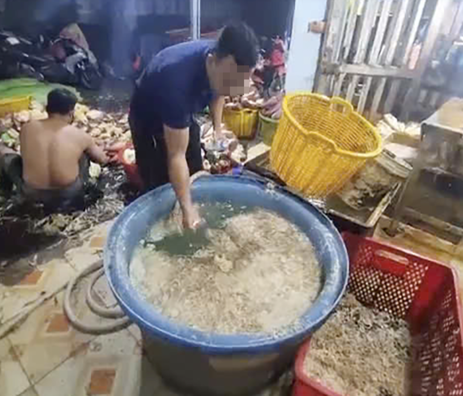 - Ảnh 1. - Ảnh 1.