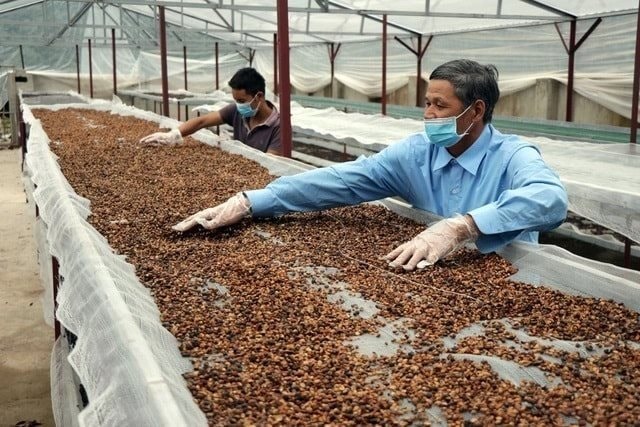 Việt Nam - Brazil sẽ lập thương hiệu chung 1 mặt hàng nước ta vừa lập kỷ lục, hơn 80 nước ồ ạt chốt đơn - Ảnh 3.