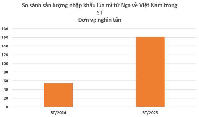 Hàng trăm nghìn tấn ‘báu vật’ từ Nga vừa đổ bộ vào Việt Nam: Thuế nhập khẩu 0%, Moscow đang là 'ông trùm' xuất khẩu của thế giới - Ảnh 2. Hàng trăm nghìn tấn ‘báu vật’ từ Nga vừa đổ bộ vào Việt Nam: Thuế nhập khẩu 0%, Moscow đang là 'ông trùm' xuất khẩu của thế giới - Ảnh 2.