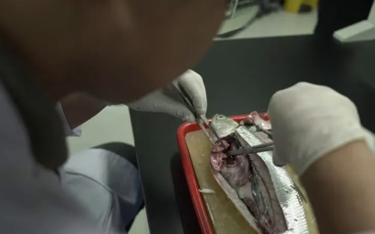 Người d&acirc;n Đ&ocirc;ng Nam &Aacute; dễ nhiễm vi nhựa nhất thế giới, v&igrave; một l&yacute; do! - Ảnh 1.