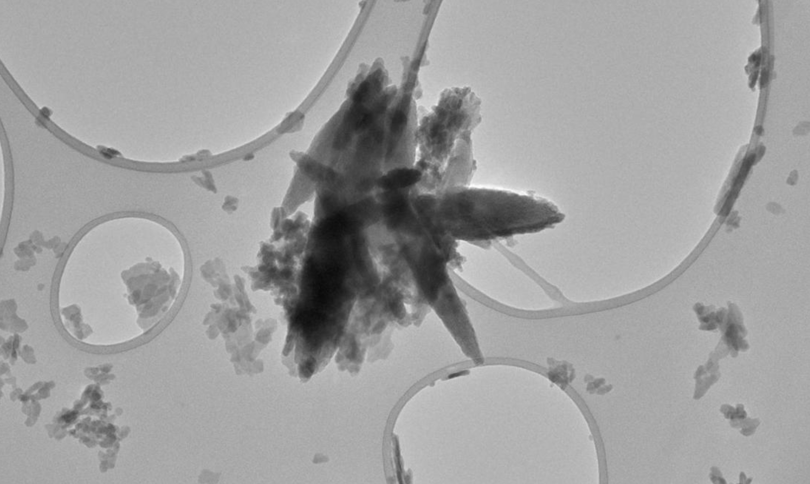 Người d&acirc;n Đ&ocirc;ng Nam &Aacute; dễ nhiễm vi nhựa nhất thế giới, v&igrave; một l&yacute; do! - Ảnh 2.