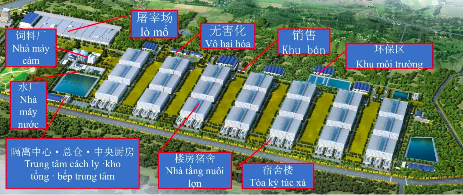 - Ảnh 3. - Ảnh 3.