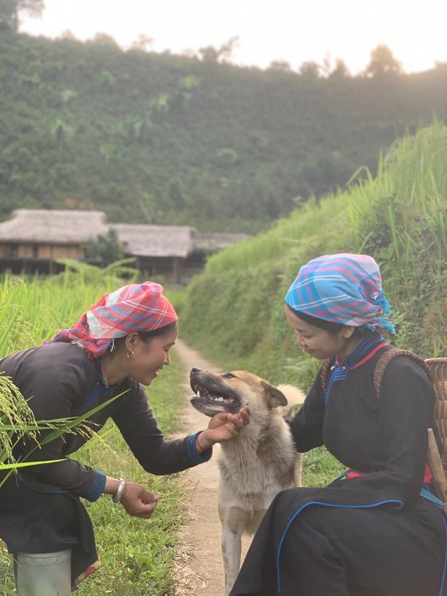 Cặp vợ chồng si&ecirc;u hot trong Gia đ&igrave;nh Haha y&ecirc;u nhau như thế n&agrave;o m&agrave; khiến người ta "ph&aacute;t hờn"- Ảnh 1.