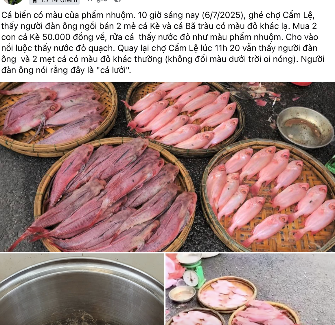 C&aacute; biển đổi m&agrave;u đỏ tại chợ Đ&agrave; Nẵng: Tiểu thương giải th&iacute;ch hiện tượng kỳ lạ - Ảnh 1.