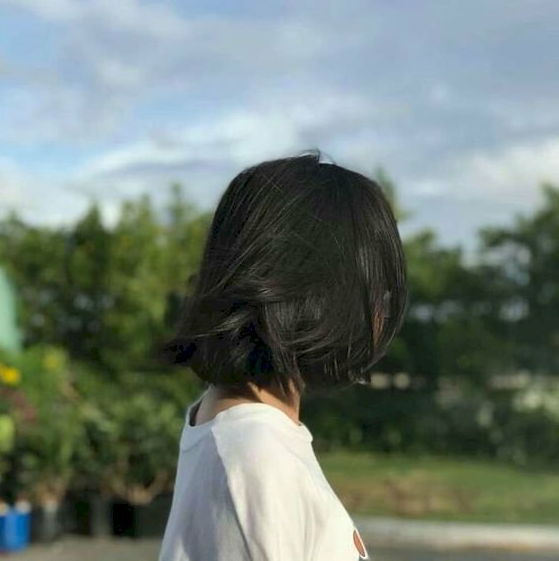 - Ảnh 2.