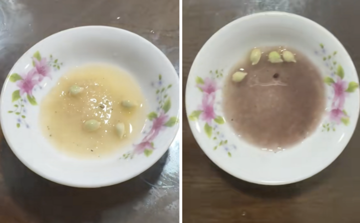 - Ảnh 2. - Ảnh 2.