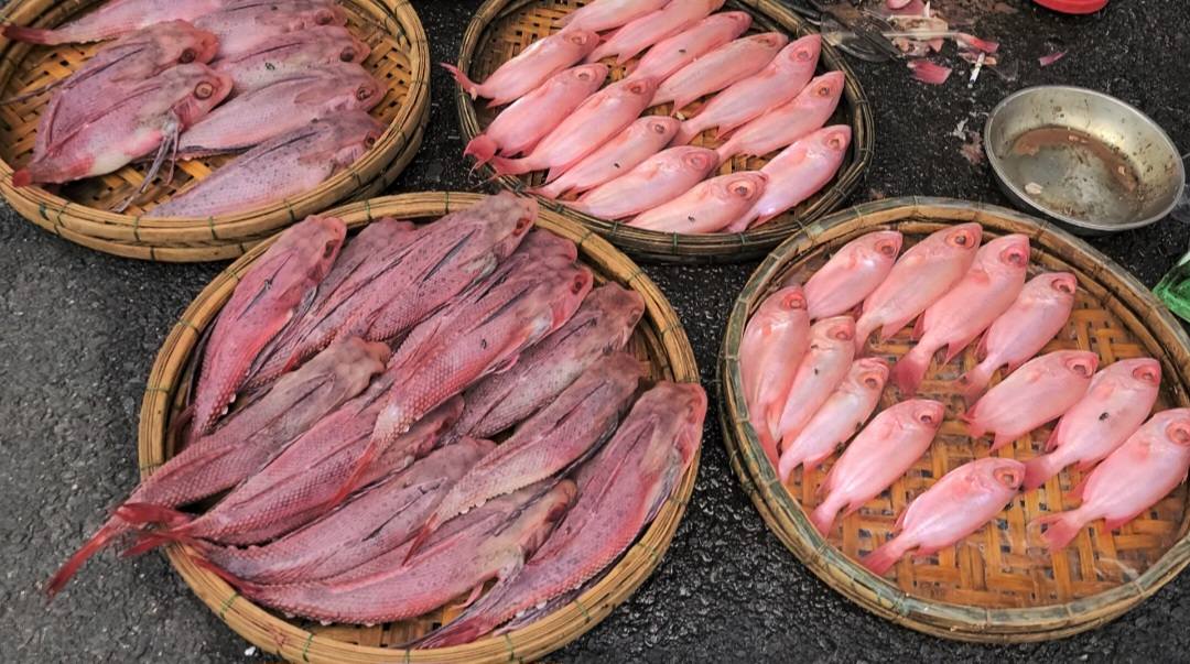 Đà Nẵng khẳng định cá có màu bất thường không được bán tại chợ Cẩm Lệ - Ảnh 1.