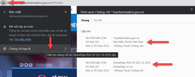 Bảo hiểm xã hội Việt Nam cảnh báo khẩn: Giả mạo website lừa đảo người dân - Ảnh 3.