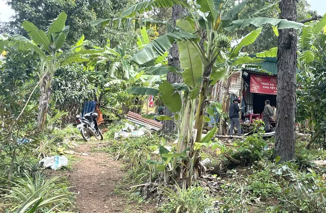 Vụ bé gái mất tích bí ẩn ở Lâm Đồng vẫn chưa có manh mối sau 4 ngày tìm kiếm - Ảnh 1.