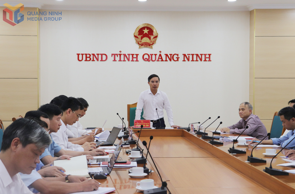 Sau vụ lật tàu Vịnh Xanh 58, Quảng Ninh sẽ nghiên cứu lắp một hệ thống đặc biệt hoạt động 24/24h - Ảnh 1.
