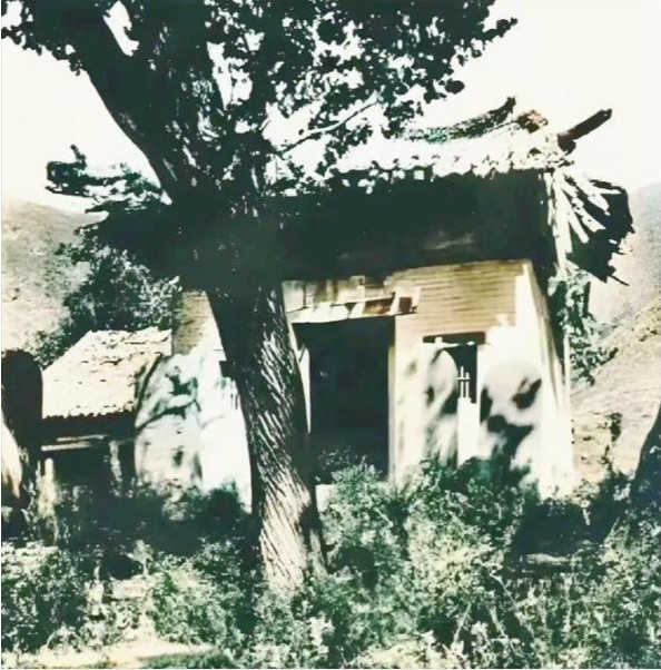 Ảnh hiếm 100 năm trước hé lộ 'hình dáng gốc' của Thiếu Lâm Tự: Sau biến cố bất ngờ đã hồi sinh từ tro tàn- Ảnh 3. Ảnh hiếm 100 năm trước hé lộ 'hình dáng gốc' của Thiếu Lâm Tự: Sau biến cố bất ngờ đã hồi sinh từ tro tàn- Ảnh 3.