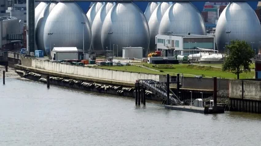 “Kho báu đại dương” Blue Carbon giúp giảm phát thải, phục hồi hệ sinh thái - Ảnh 3. “Kho báu đại dương” Blue Carbon giúp giảm phát thải, phục hồi hệ sinh thái - Ảnh 3.