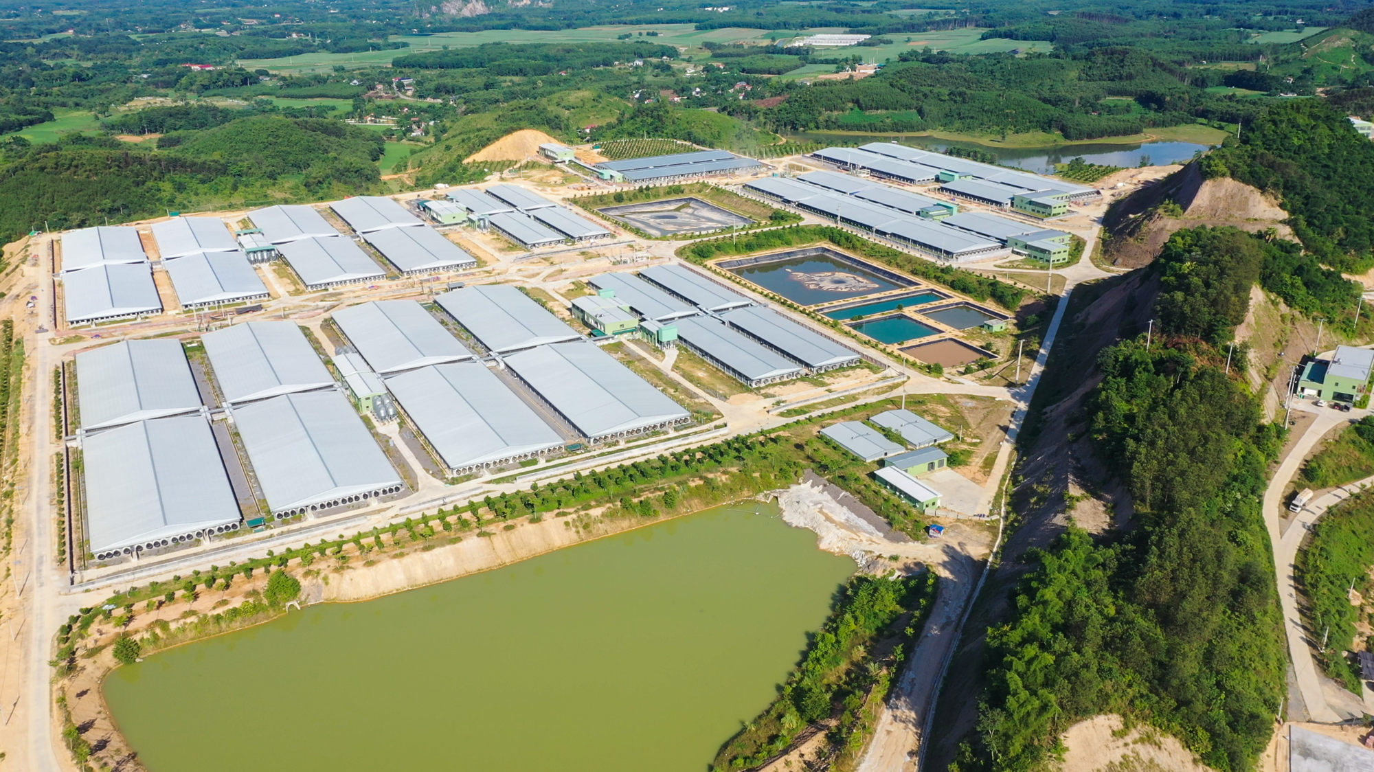 2 doanh nghiệp xin x&acirc;y 'chung cư nu&ocirc;i heo': Một b&ecirc;n top 5 thị phần heo hơi, một b&ecirc;n đại gia năng lượng rẽ hướng - Ảnh 3.