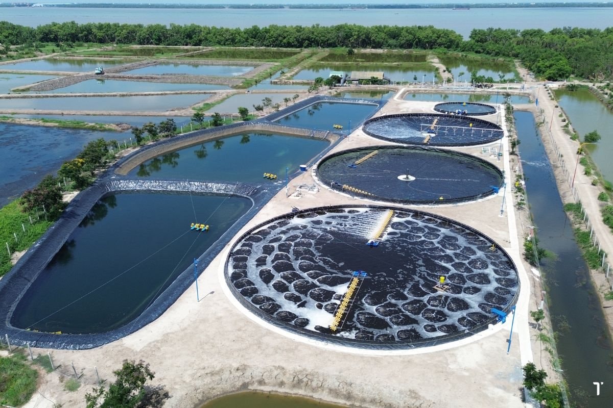 Bkav Pro của ông Nguyễn Tử Quảng phải bán tài sản để xử lý nợ trái phiếu 170 tỷ đồng - Ảnh 3.