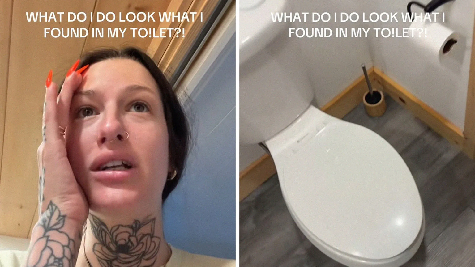 Người phụ nữ được y&ecirc;u cầu đến thẳng bệnh viện sau khi ph&aacute;t hiện "sinh vật đ&aacute;ng sợ" trong ph&ograve;ng tắm- Ảnh 1.