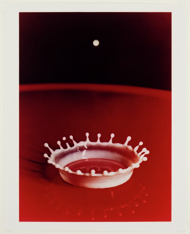 10 bức ảnh mang t&iacute;nh bước ngoặt trong lịch sử nh&acirc;n loại- Ảnh 8.