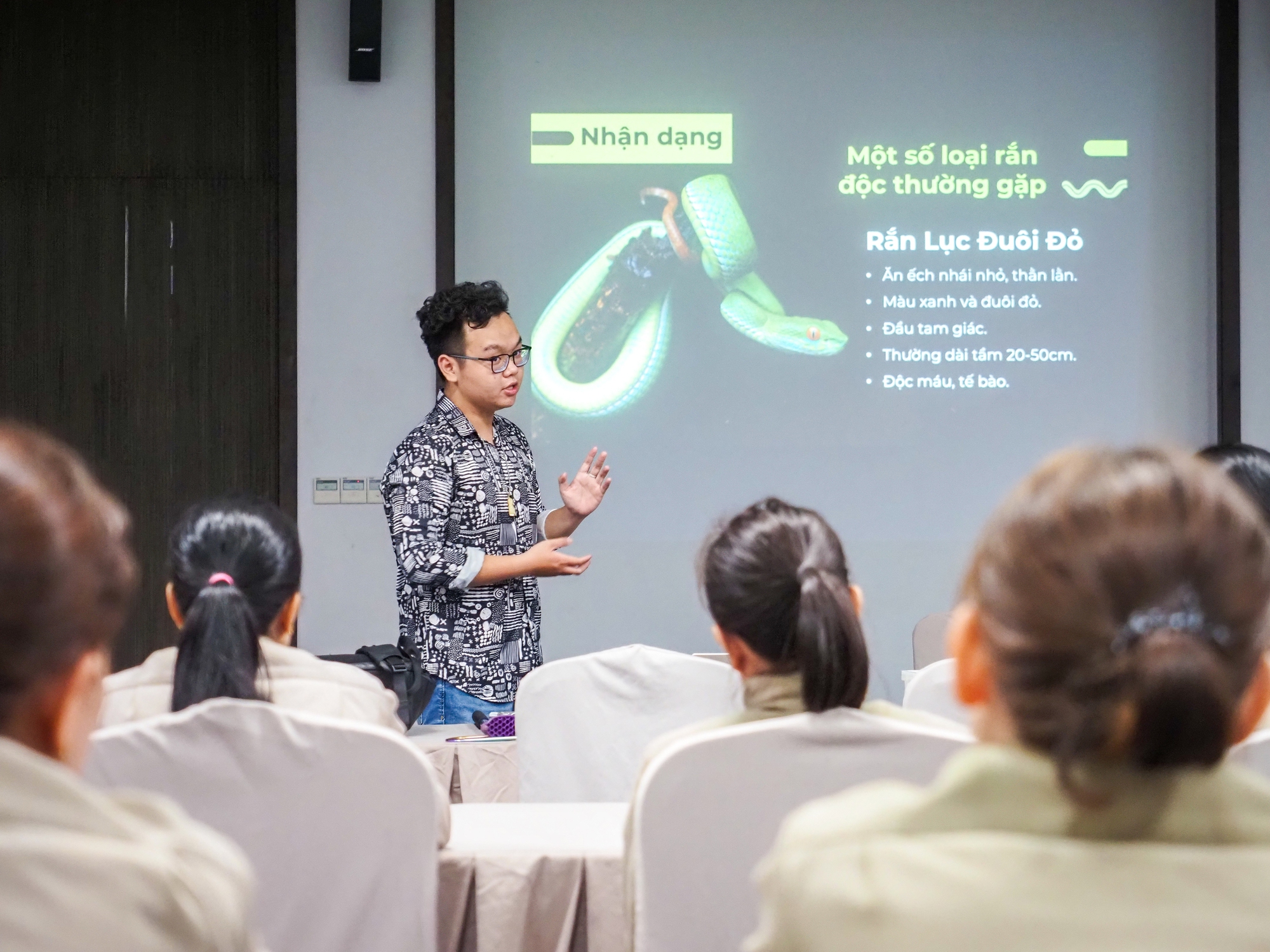 Xôn xao clip một TikToker phóng sinh bầy rắn hổ mang chúa mới nở - Ảnh 8.