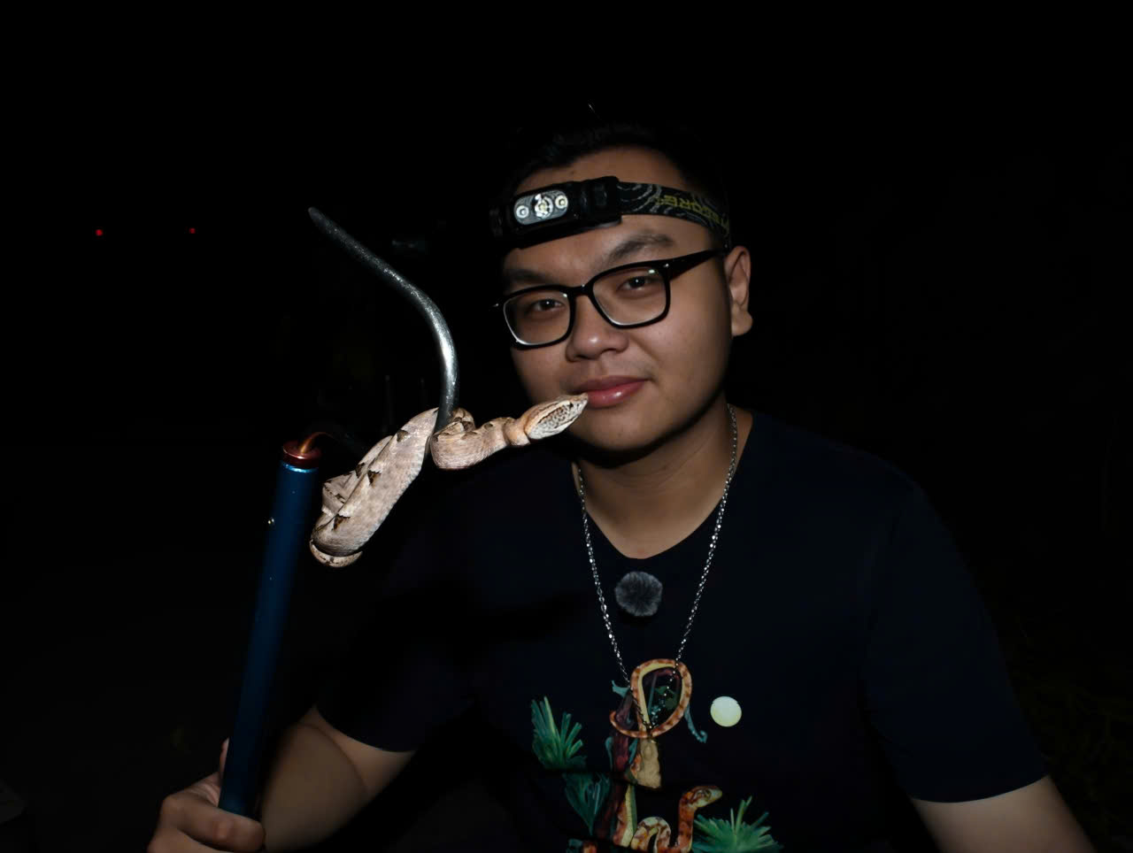 Xôn xao clip một TikToker phóng sinh bầy rắn hổ mang chúa mới nở - Ảnh 1.