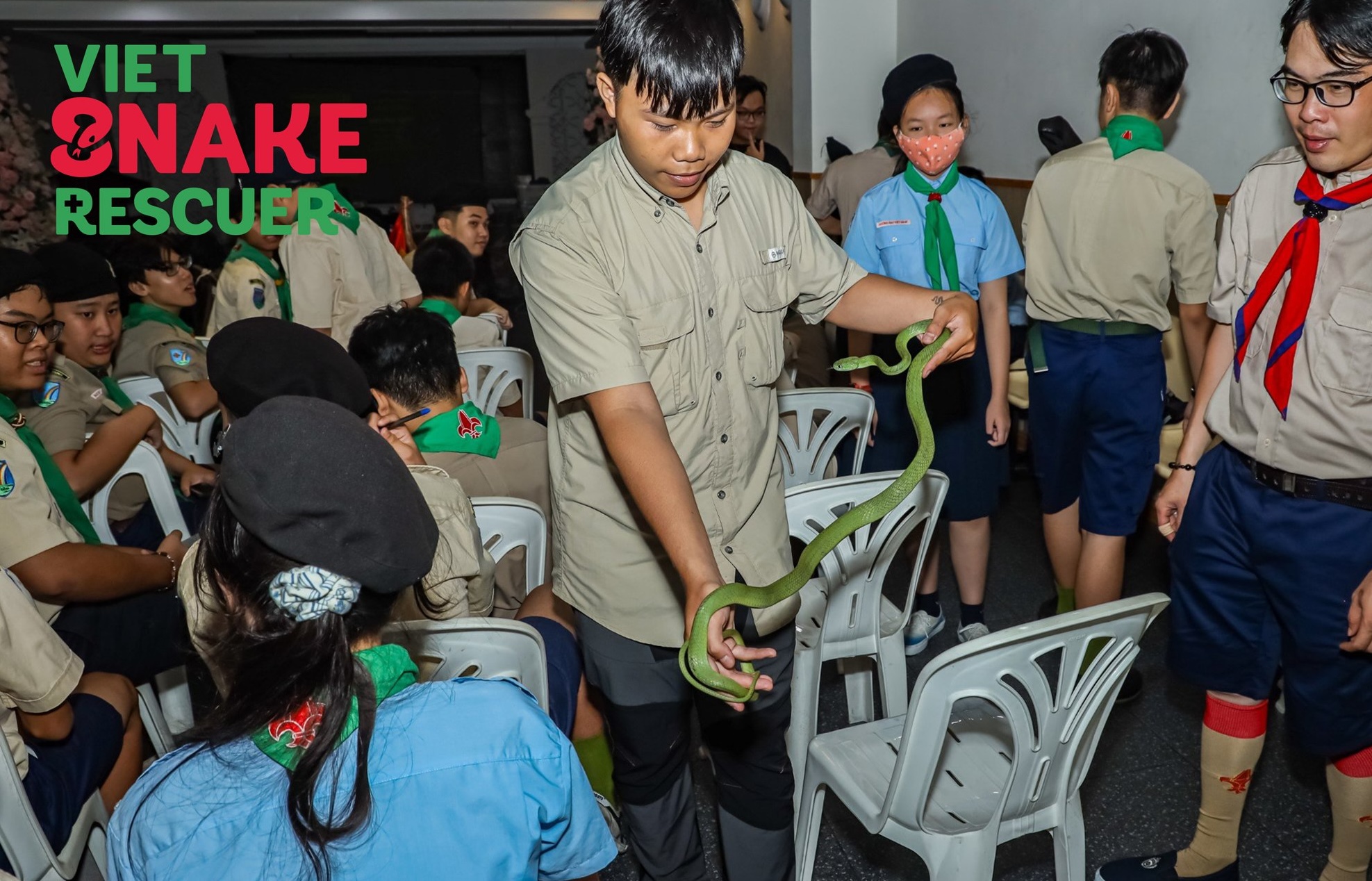 Xôn xao clip một TikToker phóng sinh bầy rắn hổ mang chúa mới nở - Ảnh 6.