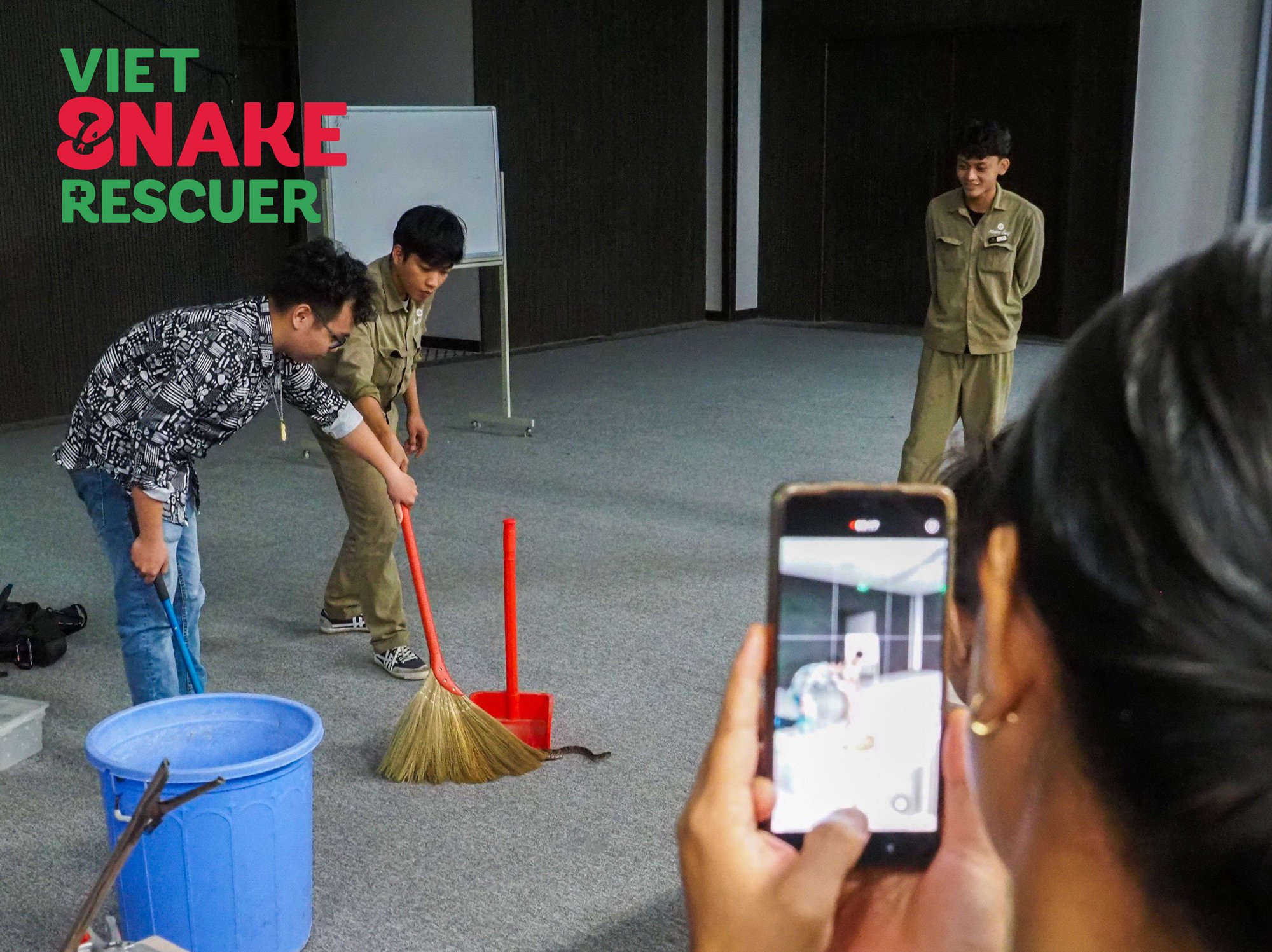 Xôn xao clip một TikToker phóng sinh bầy rắn hổ mang chúa mới nở - Ảnh 7.