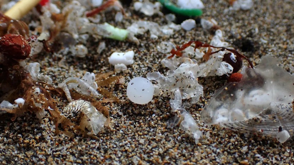 Nghi&ecirc;n cứu mới v&eacute;n m&agrave;n sự thật kinh ho&agrave;ng &iacute;t ai ngờ tới:  Kh&ocirc;ng phải bom nguy&ecirc;n tử, vi nhựa mới l&agrave; kẻ hủy diệt ngầm của nh&acirc;n loại!- Ảnh 3.