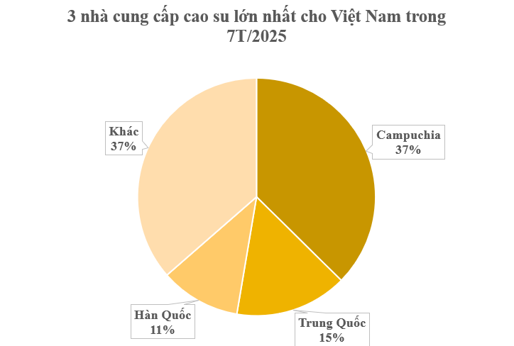  - Ảnh 1.