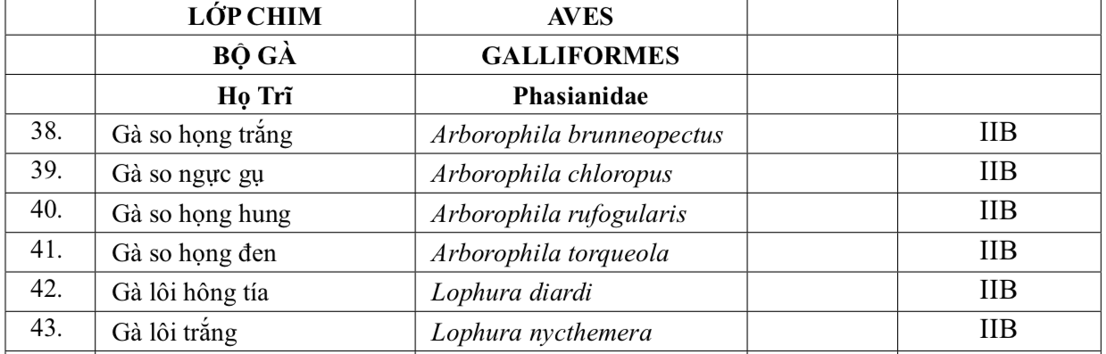 Vụ 6 năm t&ugrave; v&igrave; nu&ocirc;i, b&aacute;n g&agrave; l&ocirc;i trắng: Quy định mới từ 1-7-2025- Ảnh 2.