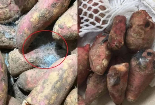 4 thực phẩm c&agrave;ng ăn gan c&agrave;ng "kh&ocirc; cứng như rễ tre" nhưng nhiều người vẫn th&iacute;ch m&ecirc;- Ảnh 1.