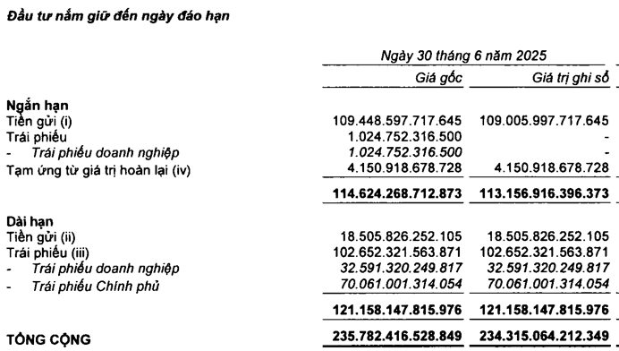 Một tập đoàn có hơn 127.000 tỷ gửi ngân hàng, sở hữu lượng lớn cổ phiếu ACB, Vinamilk và VietinBank - Ảnh 1.