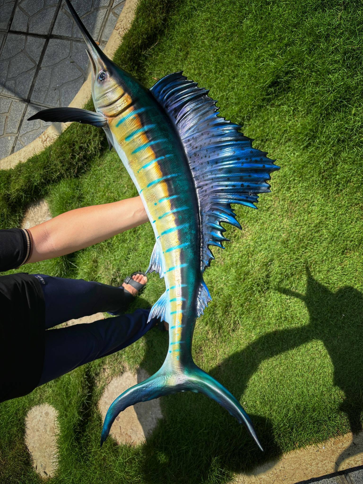 Những con cá không bao giờ chết của chàng trai Lâm Đồng hấp dẫn lòng người - Ảnh 25.