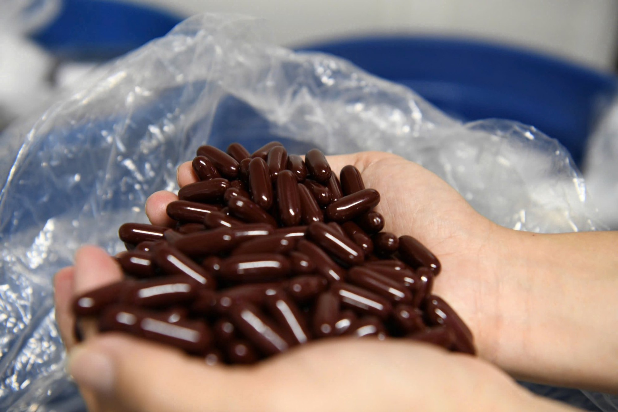 Khám xét công ty dược phẩm của giám đốc Lê Văn Hiếu, phát hiện 12 triệu viên thực phẩm chức năng giả- Ảnh 6. Khám xét công ty dược phẩm của giám đốc Lê Văn Hiếu, phát hiện 12 triệu viên thực phẩm chức năng giả- Ảnh 6.