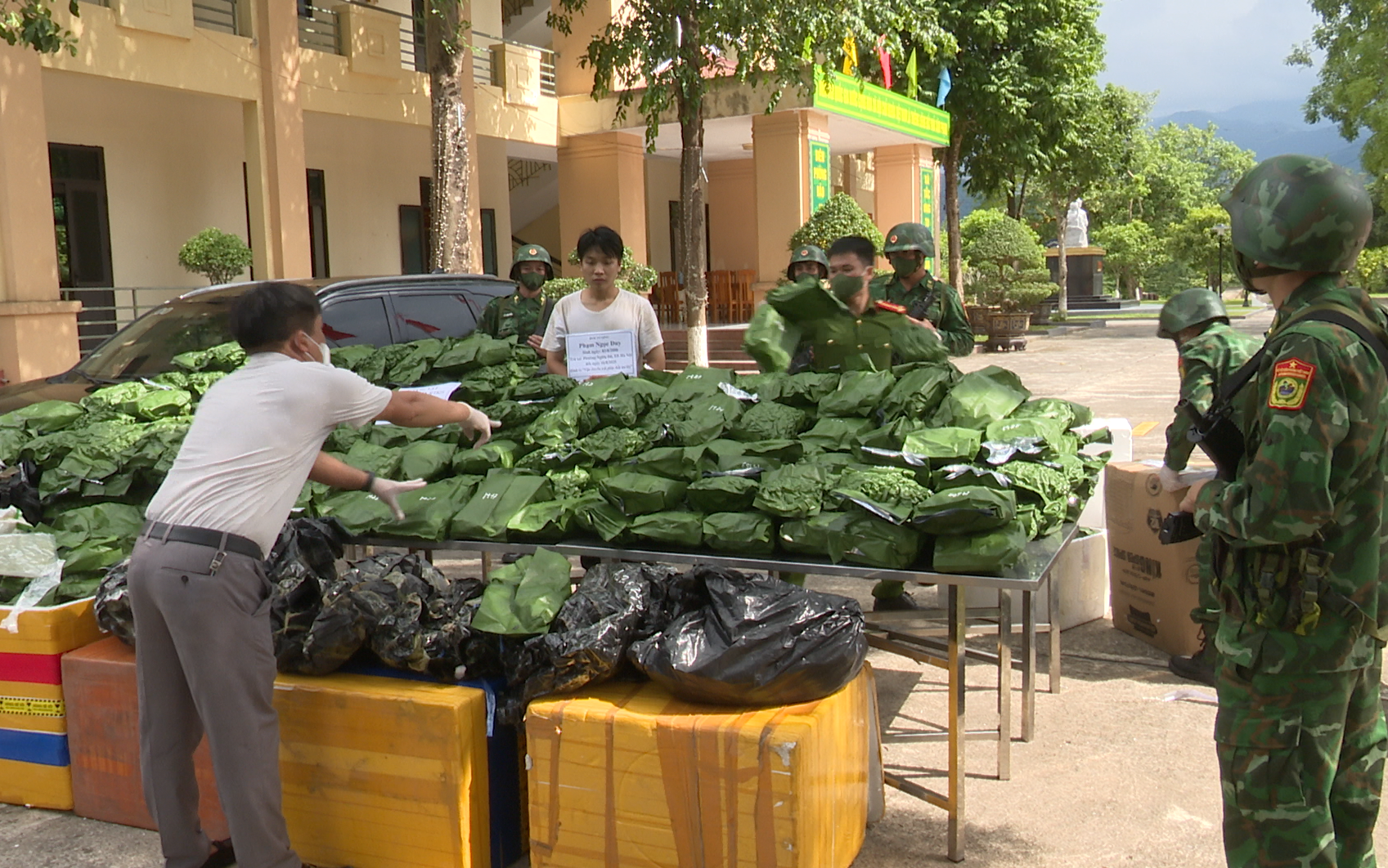 Triệt ph&aacute; chuy&ecirc;n &aacute;n HT 825: Bắt giữ 240kg cần sa tại H&agrave; Tĩnh - Ảnh 1.