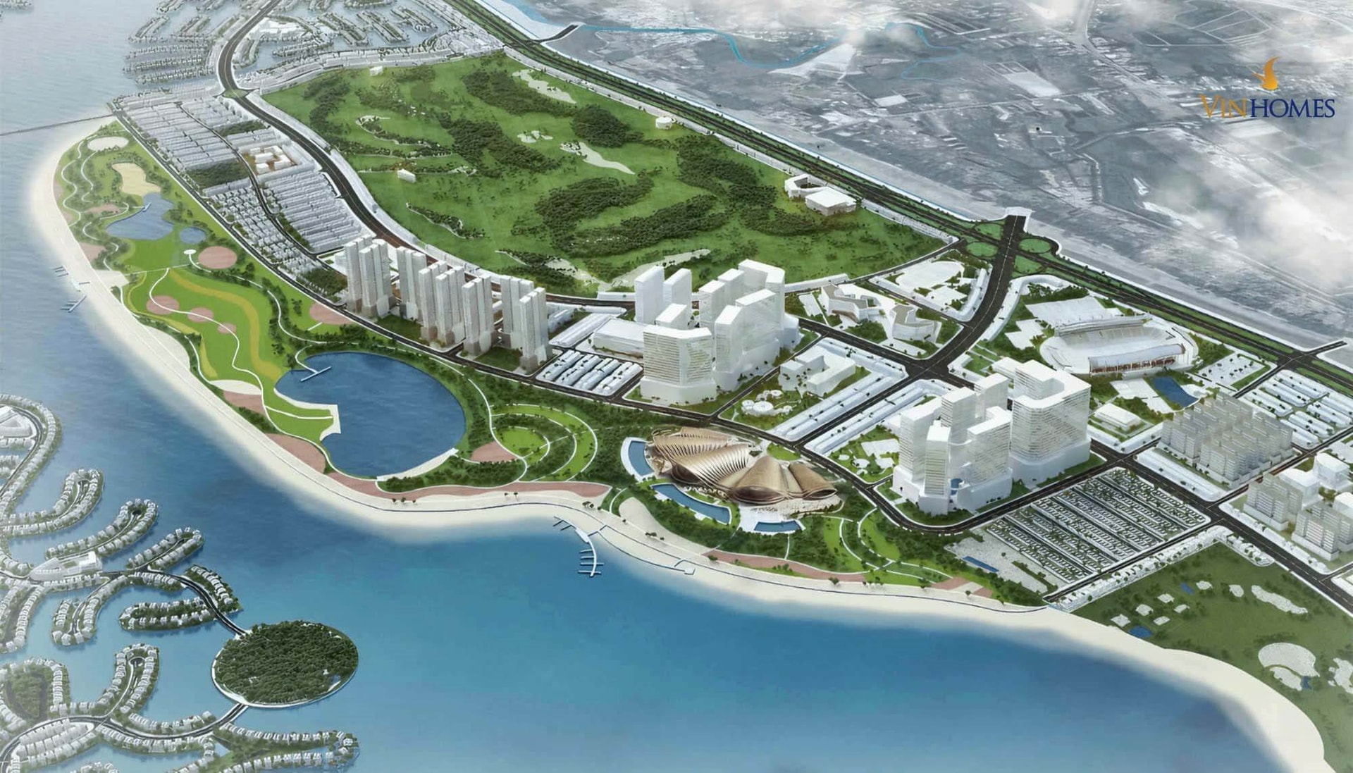 Nhu cầu của Campuchia tăng đột biến, nông dân Việt nam thu hơn 40 triệu đồng mỗi ngày - Ảnh 4.