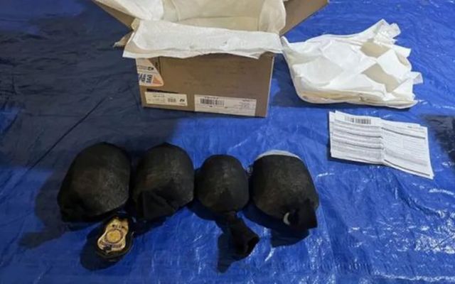 Cảnh sát sốc khi kiểm tra kiện hàng rùa quý hiếm trị giá 36 tỷ VNĐ - Ảnh 2.