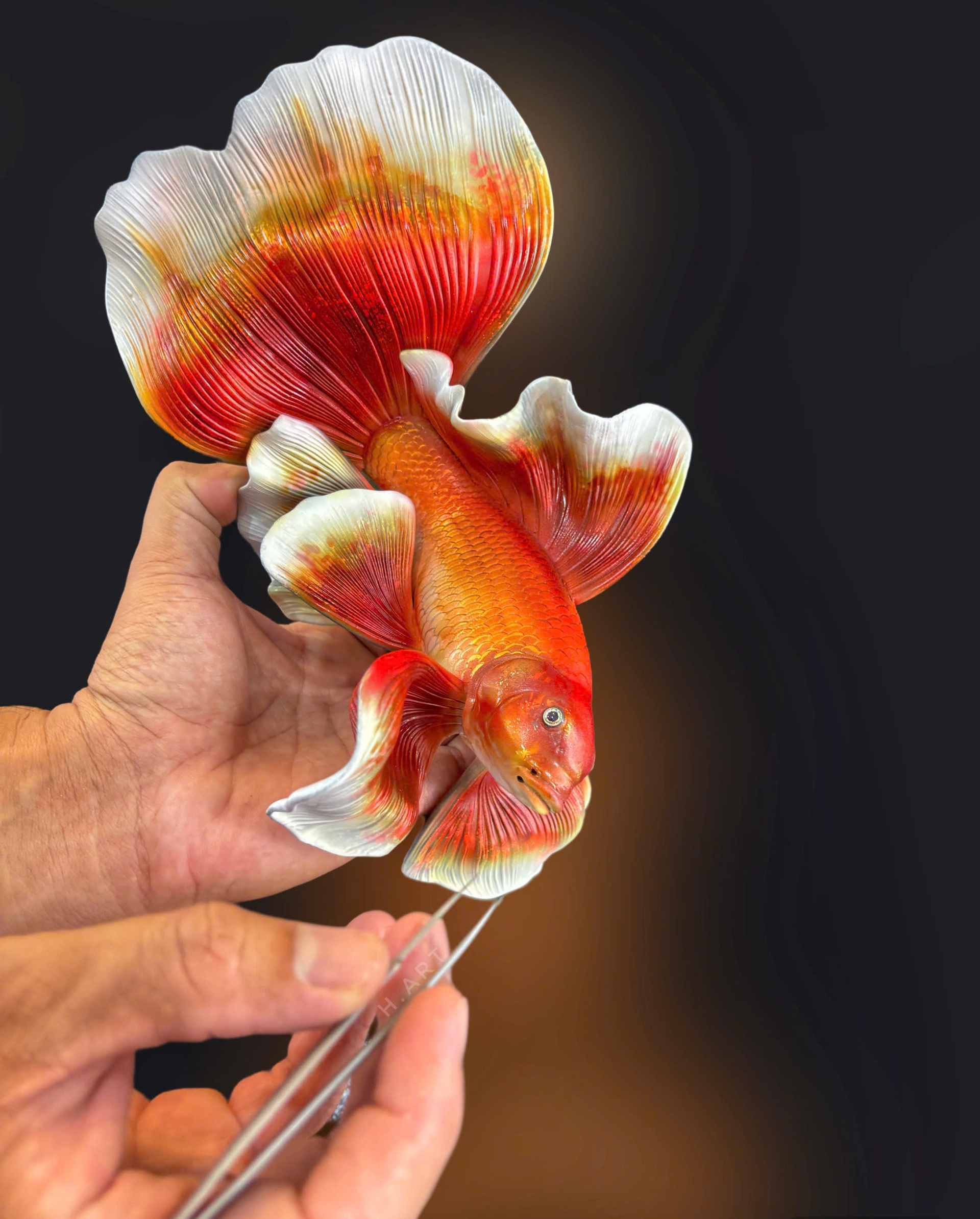 Những con cá không bao giờ chết của chàng trai Lâm Đồng hấp dẫn lòng người - Ảnh 20.