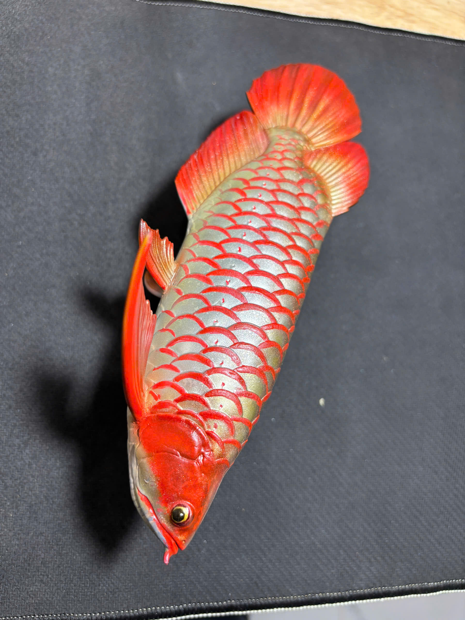 Những con cá không bao giờ chết của chàng trai Lâm Đồng hấp dẫn lòng người - Ảnh 21.