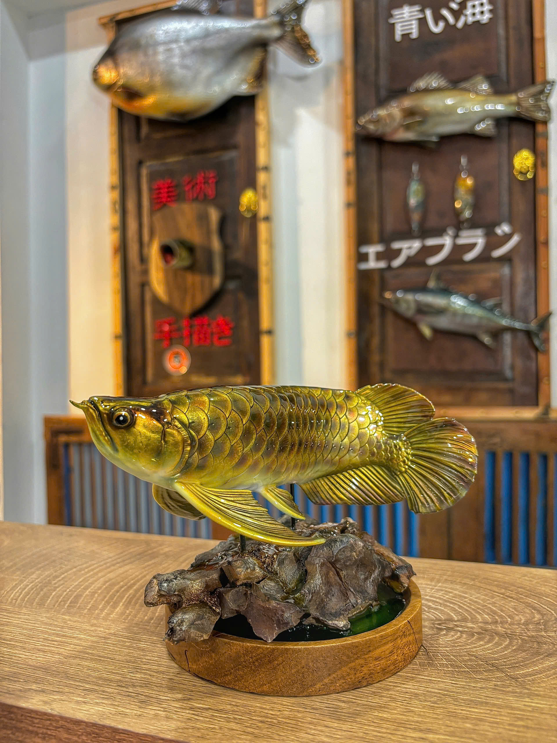 Những con cá không bao giờ chết của chàng trai Lâm Đồng hấp dẫn lòng người - Ảnh 17.