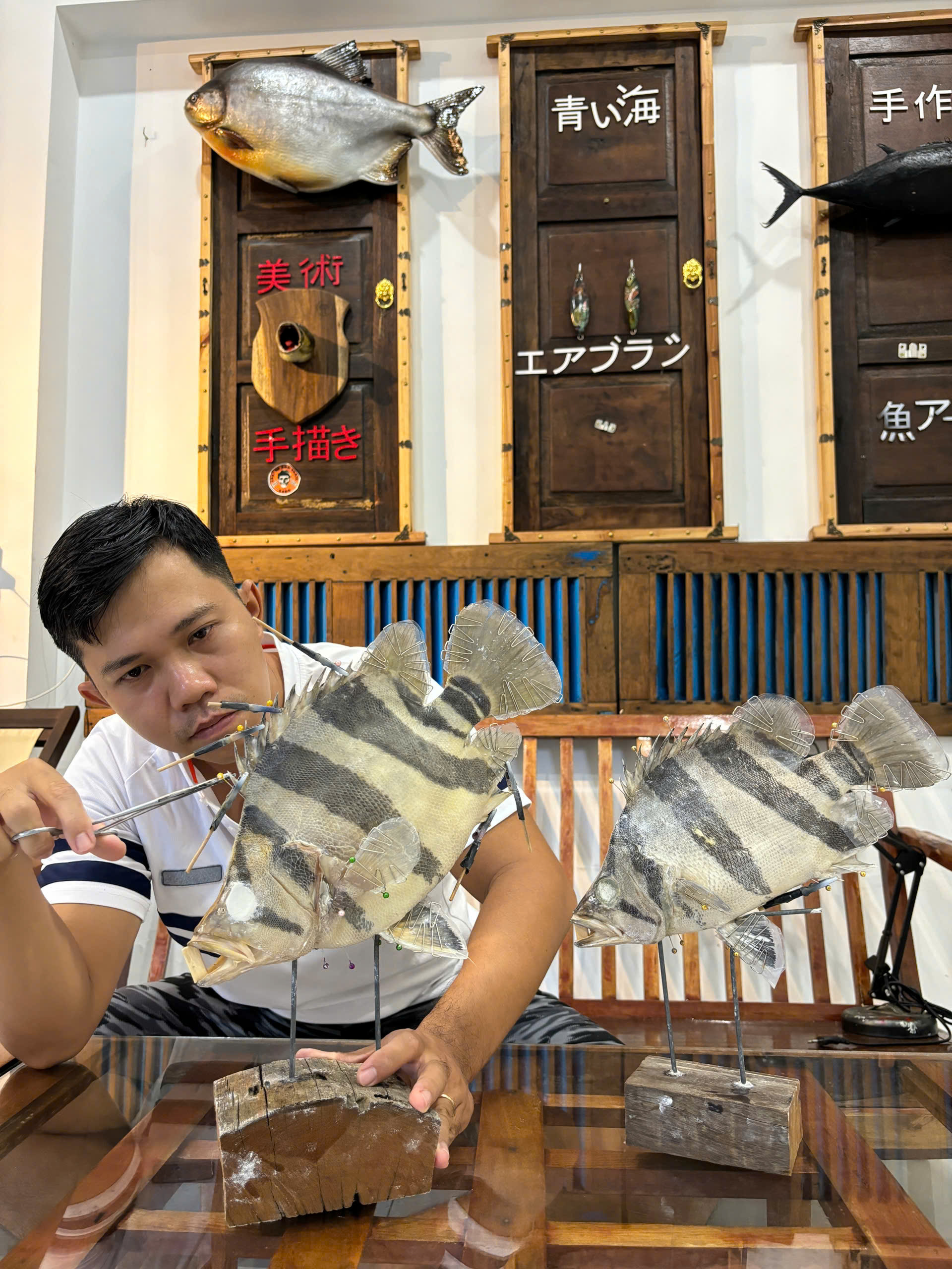 Những con cá không bao giờ chết của chàng trai Lâm Đồng hấp dẫn lòng người - Ảnh 5.