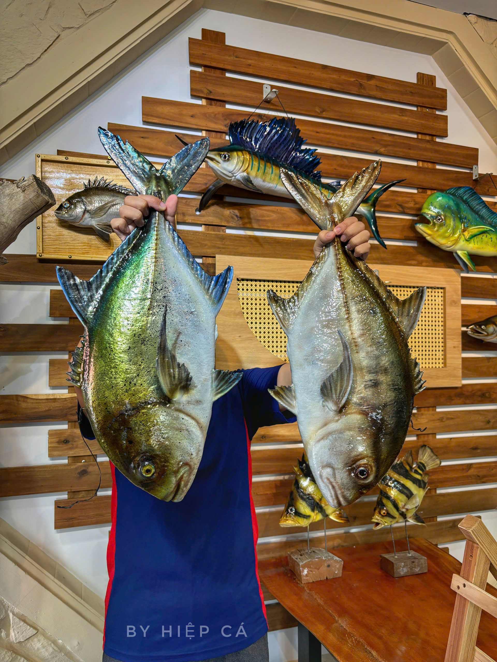 Những con cá không bao giờ chết của chàng trai Lâm Đồng hấp dẫn lòng người - Ảnh 2.