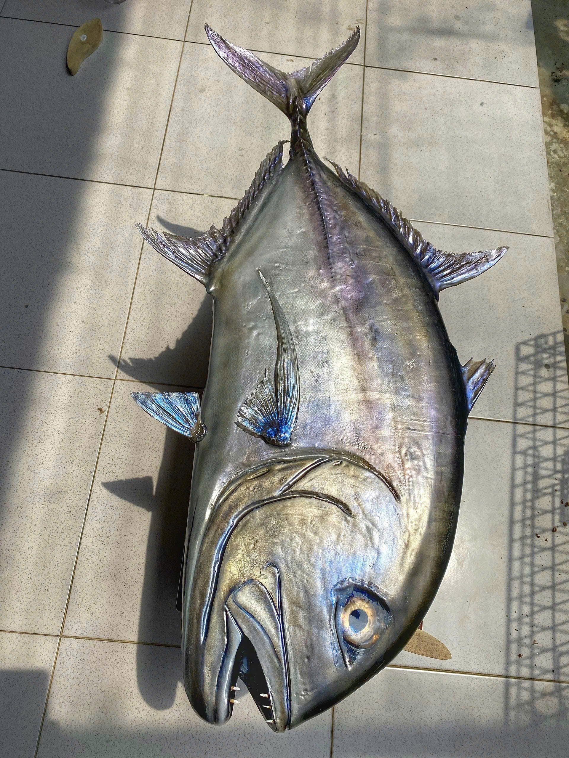 Những con cá không bao giờ chết của chàng trai Lâm Đồng hấp dẫn lòng người - Ảnh 12.