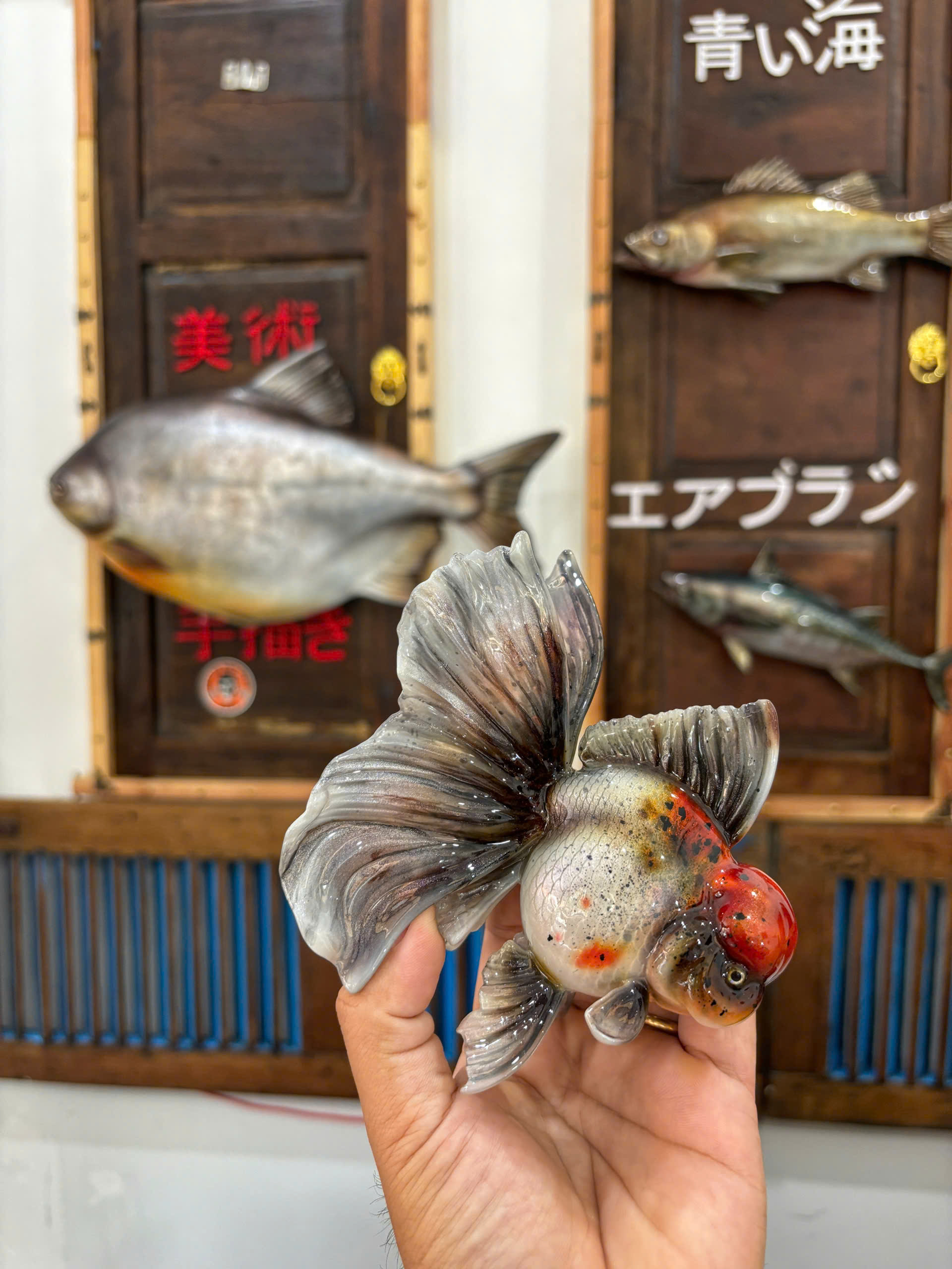 Những con cá không bao giờ chết của chàng trai Lâm Đồng hấp dẫn lòng người - Ảnh 19.