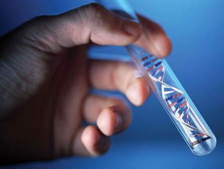 Không Biết Con Của Chồng Hay Sếp, Cô Gái Trẻ Hai Lần Đi Xét Nghiệm Adn, Nhận Kết Quả Gây “Sốc” 1 Adn 1755146969896 17551469712961843378869