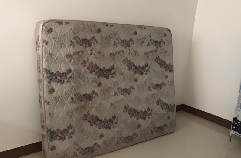 Buông bỏ 6 món đồ như quả bom nổ chậm trong gia đình - Ảnh 3. Buông bỏ 6 món đồ như quả bom nổ chậm trong gia đình - Ảnh 3.