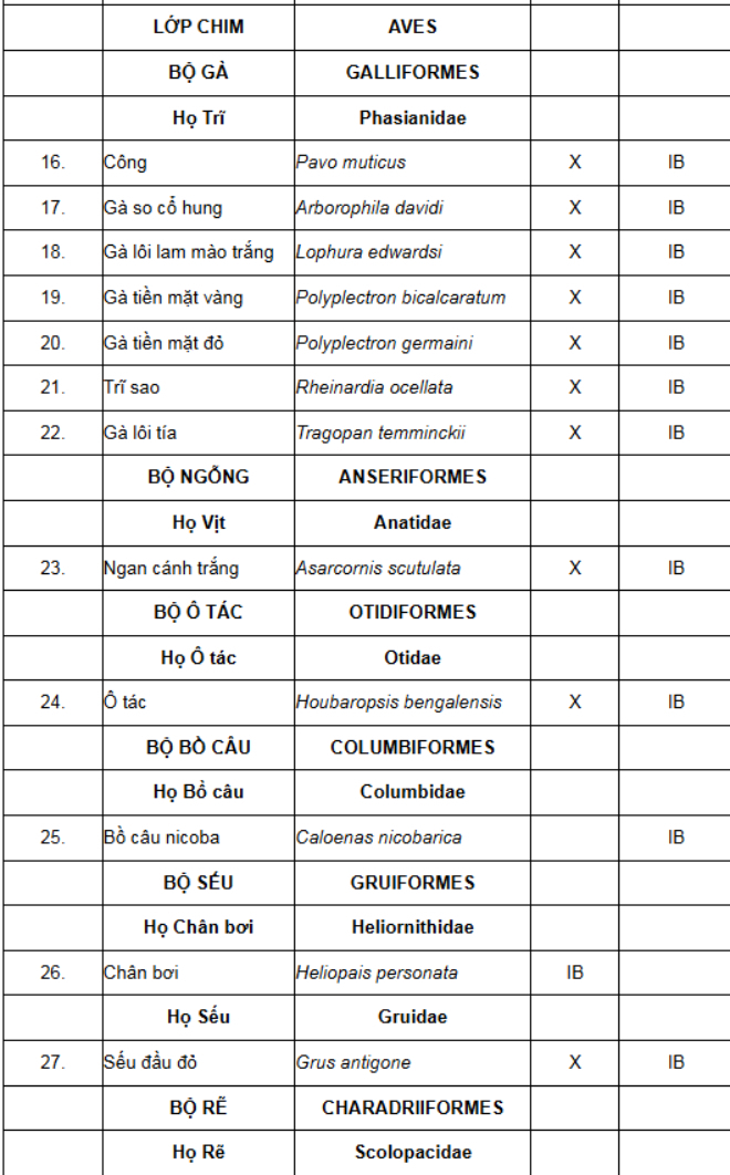 Những lòai động vật qúy hiếm bị cấm nuôi và tiêu thụ trong danh sách bảo tồn đặc biệt - Ảnh 2.