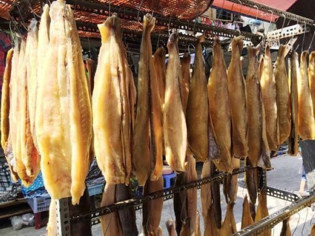 Cả thế giới tranh nuôi nhưng chỉ Việt Nam tạo nên ngành công nghiệp tỷ đô từ 'mỏ vàng' này: chiếm 90% thị phần toàn cầu, Mỹ và Trung Quốc chốt đơn cực khủng - Ảnh 1.