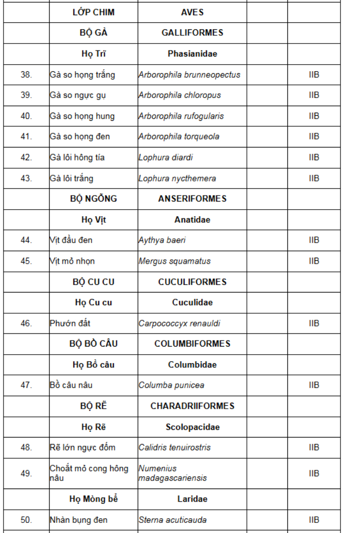 Những lòai động vật qúy hiếm bị cấm nuôi và tiêu thụ trong danh sách bảo tồn đặc biệt - Ảnh 3.