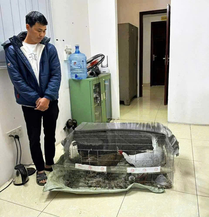Những lòai động vật qúy hiếm bị cấm nuôi và tiêu thụ trong danh sách bảo tồn đặc biệt - Ảnh 4.