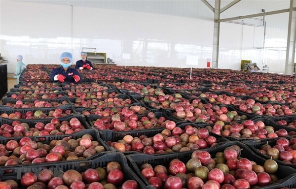 Vừa bị Mỹ mạnh tay trừng phạt, quốc gia BRICS vẫn ‘hiên ngang’ chốt đơn 2 triệu thùng dầu Nga mỗi ngày trong tháng 8, chuyện gì đang xảy ra? - Ảnh 2.