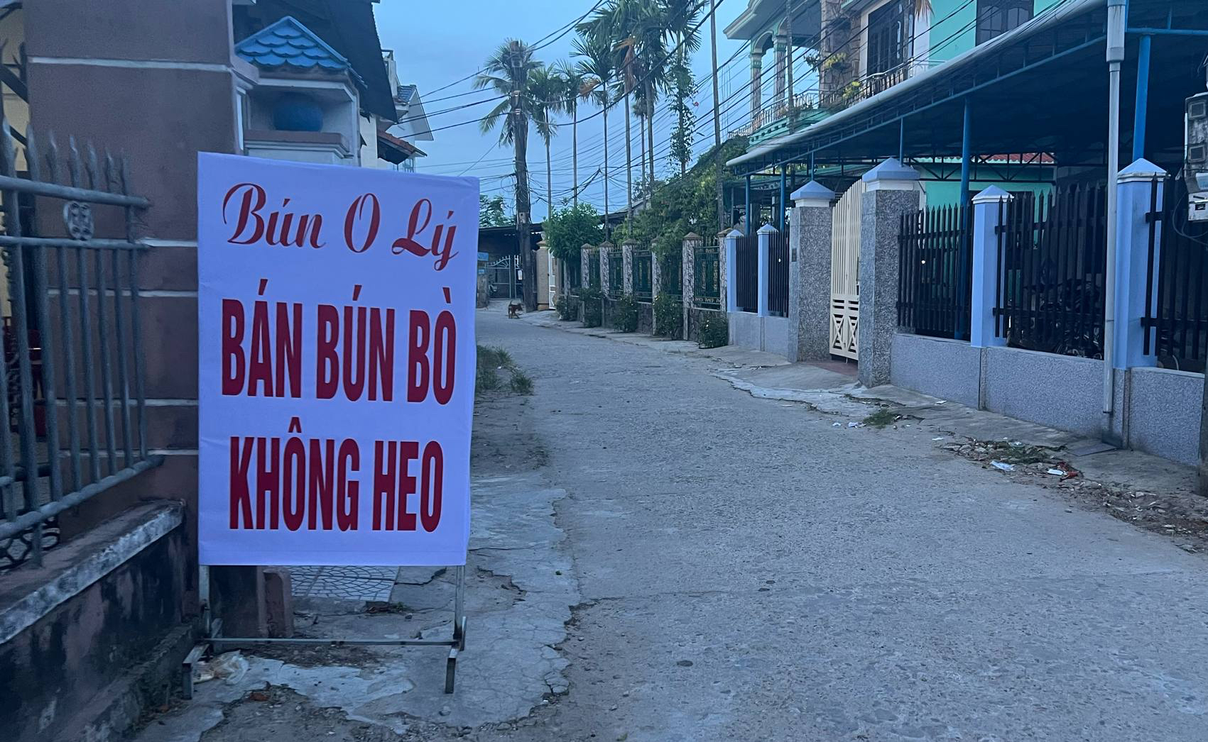 Ngành Y Tế Huế Nói Rõ Nguyên Nhân 4 Người Tử Vong Do Liên Cầu Lợn 1 Ngành Y Tế Huế Nói Rõ Nguyên Nhân 4 Người Tử Vong Do Liên Cầu Lợn - Ảnh 1.